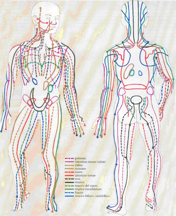 I meridiani del corpo